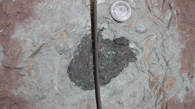  Descubren el fragmento de un asteroide que marc&oacute; un antes y un despu&eacute;s en la vida del planeta: