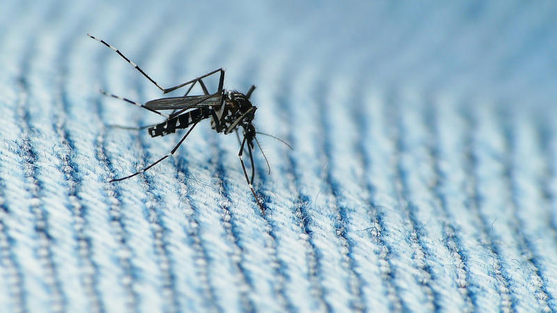 Scientists have found the possible vaccine against Zika and hope it can be used by pregnant women