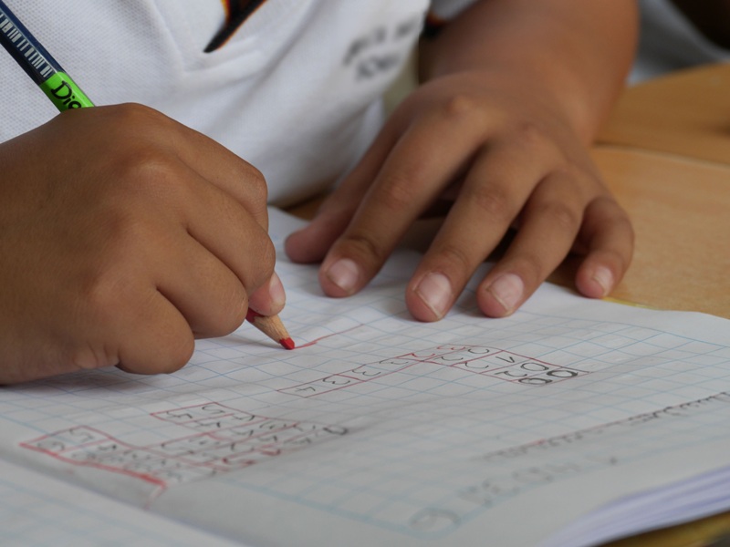 EL COMIENZO DE UNA NUEVA ETAPA: PASAR DEL JARD&Iacute;N A LA PRIMARIA