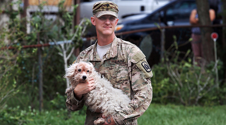 Pet owners to face charges for abandoning animals during Irma