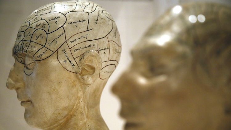  &iquest;Nada en la vida le da placer?, cient&iacute;ficos explican el motivo: