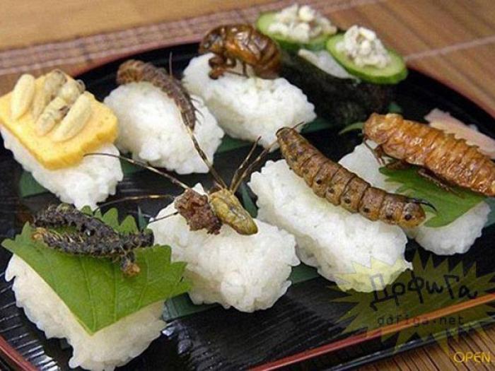  Por qu&eacute; hay atletas que comen insectos para mejorar su rendimiento