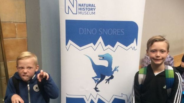 Ni&ntilde;o de 10 a&ntilde;os corrige al Museo de Historia Natural de Londres