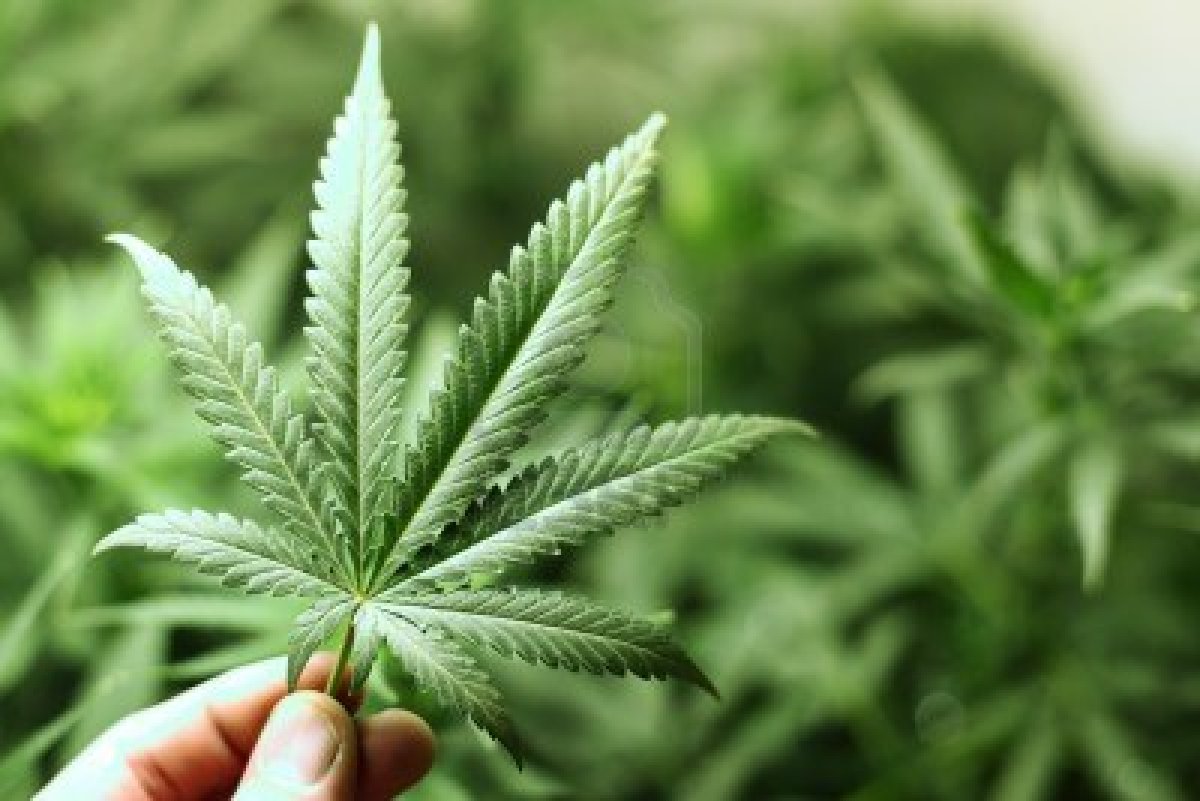 Marijuana could be effective for workouts 