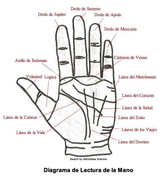 Aprende a leer la mano con esta sencilla gu&iacute;a