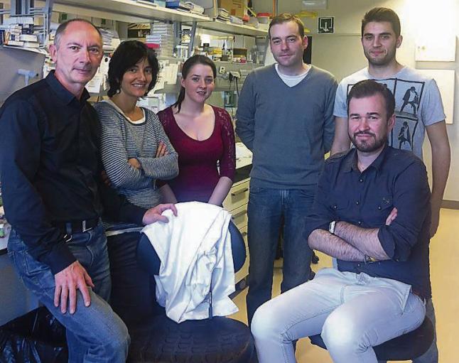 Cient&iacute;ficos logran frenar el c&aacute;ncer de mama con c&eacute;lulas del &uacute;tero