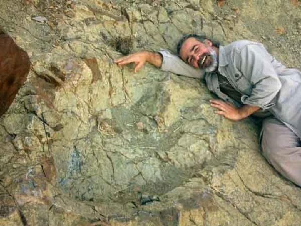 &iexcl;Impresionante! Aqu&iacute; est&aacute; la huella de dinosaurio m&aacute;s grande hallada hasta ahora