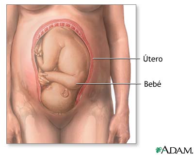 EL APRENDIZAJE LENGUA MATERNA EN EL UTERO