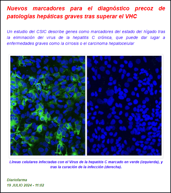  VHC (Virus de la Hepatitis C): Nuevos marcadores para un diagn&oacute;stico precoz