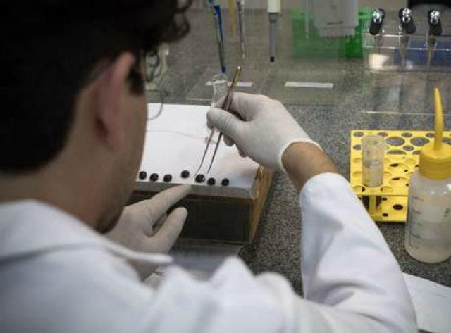 Una garrapata podr&iacute;a tener la cura del c&aacute;ncer