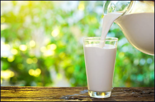 &iquest;La leche de vaca y los antibi&oacute;ticos son incompatibles?