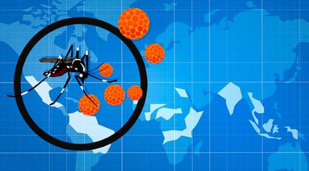 10 Essential Facts About the Zika Virus