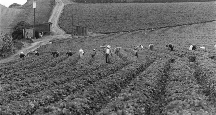 Estas industrias no sobrevivir&iacute;an sin los inmigrantes