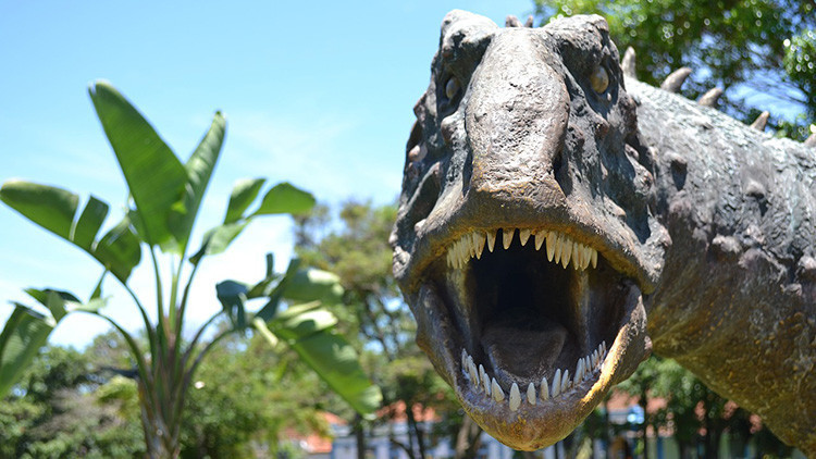 Descubren en Bolivia la huella de un gran dinosaurio carn&iacute;voro de 80 millones de a&ntilde;os: