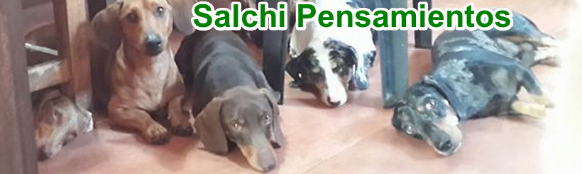 4 Libros de Salchi Pensamiento Compilados &Eacute;XITO MUNDIAL