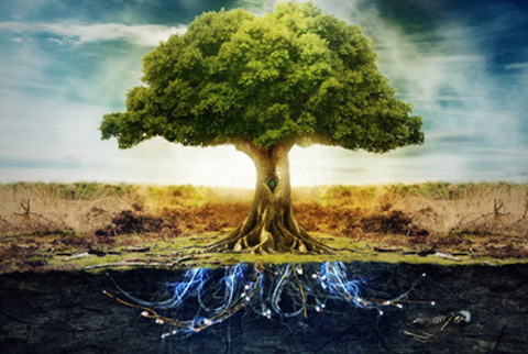 EL &Aacute;RBOL QUE PERMANECE ERGUIDO A PESAR DE TODOS