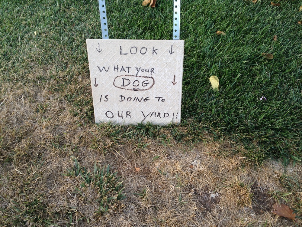 Man kills his neighbor and his dogs for using his yard as a toilet