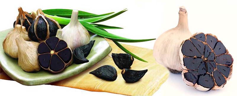 El Ajo Negro y Sus Excelentes Propiedades Medicinales