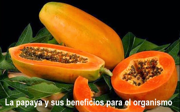 La papaya y sus m&uacute;ltiples beneficios para el organismo