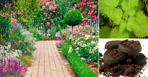 C&oacute;mo hacer fertilizantes naturales en casa
