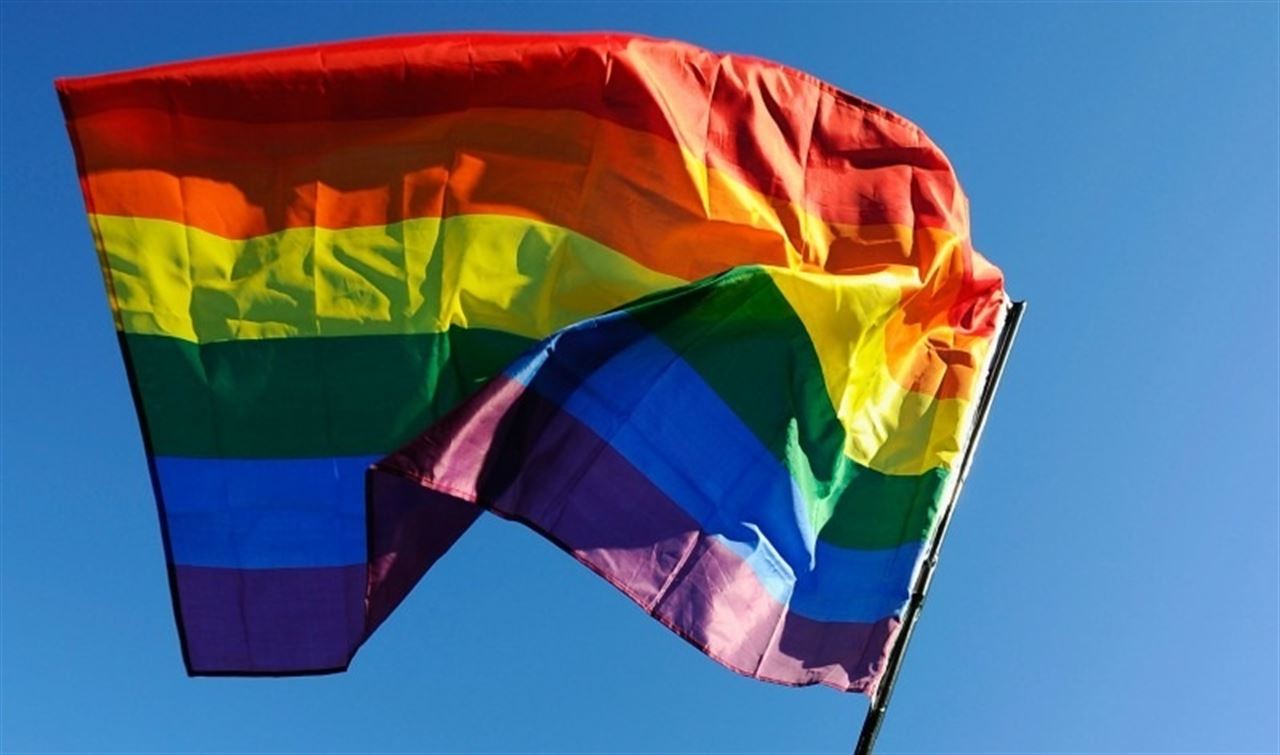 'La Iglesia debe pedir perd&oacute;n a los gays' dice el Papa Francisco 
