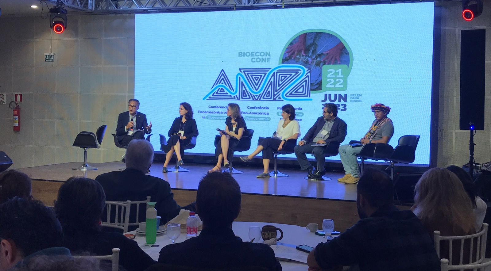 La ruta que deber&iacute;an seguir Lula y Petro para salvar la Amazonia