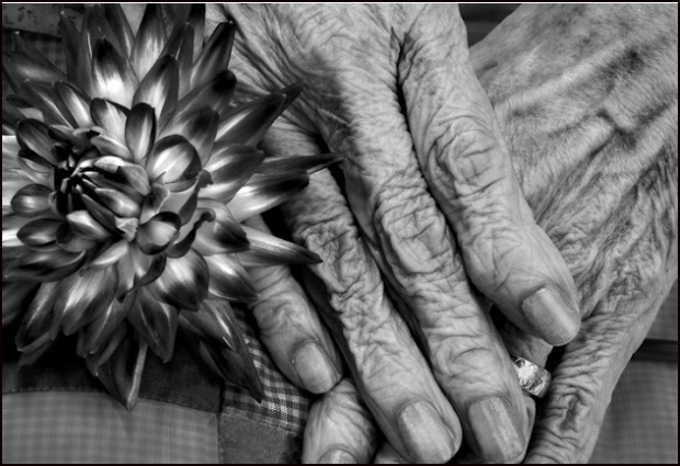  Aquellas queridas manos de mi joven, vieja y querida amiga, mi Madre