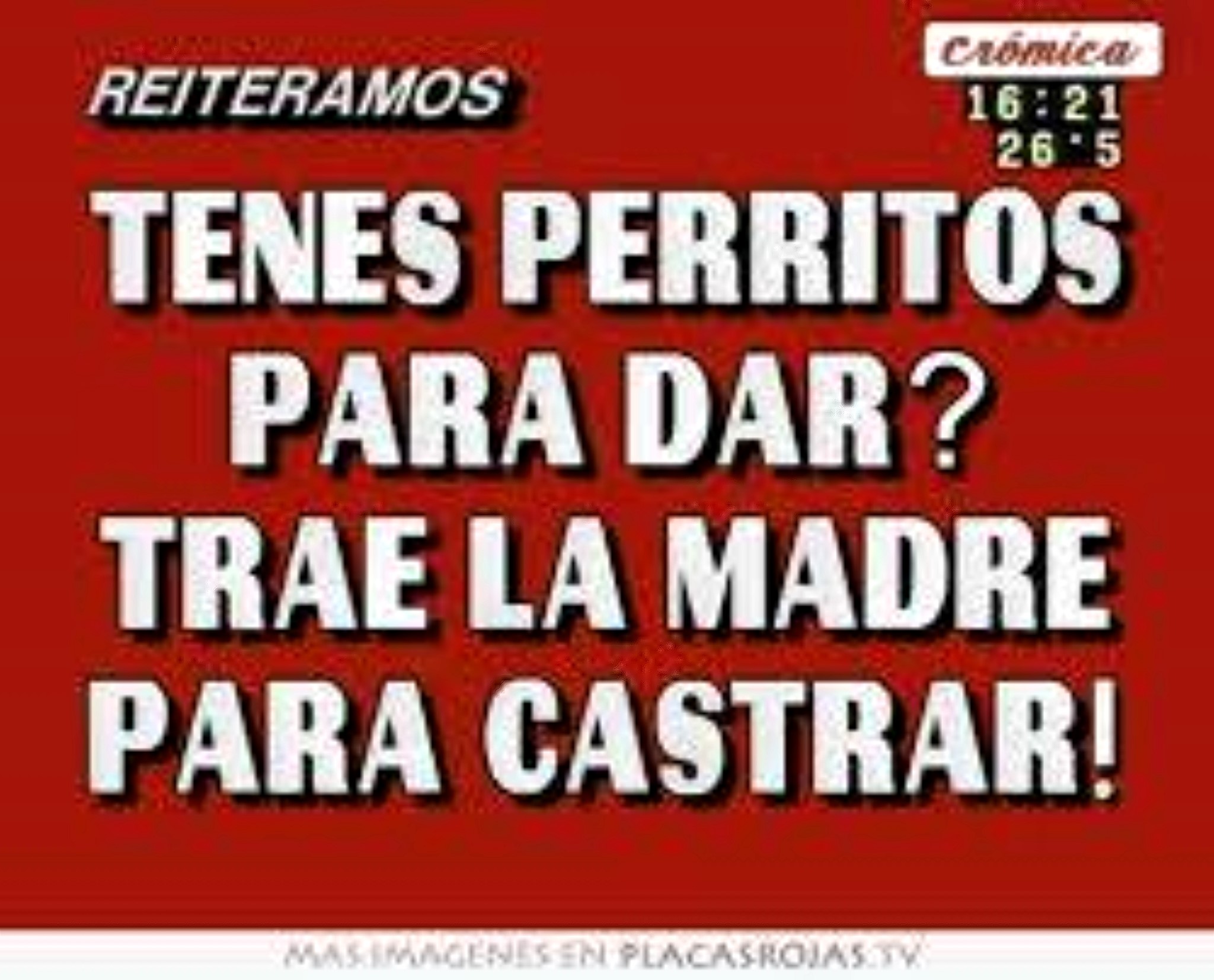 ESTERILIZA A TU MASCOTA Y COLABORA PARA QUE UNO DE LA CALLE TAMBI&Eacute;N   SEA ESTERILIZADO