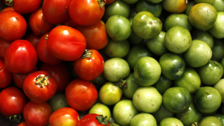 Crean tomates-f&aacute;bricas de elementos qu&iacute;micos que tratan el c&aacute;ncer y otras enfermedades