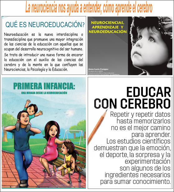 En qu&eacute; consiste la neuroeducaci&oacute;n? y c&oacute;mo influye en la educaci&oacute;n de la ni&ntilde;ez