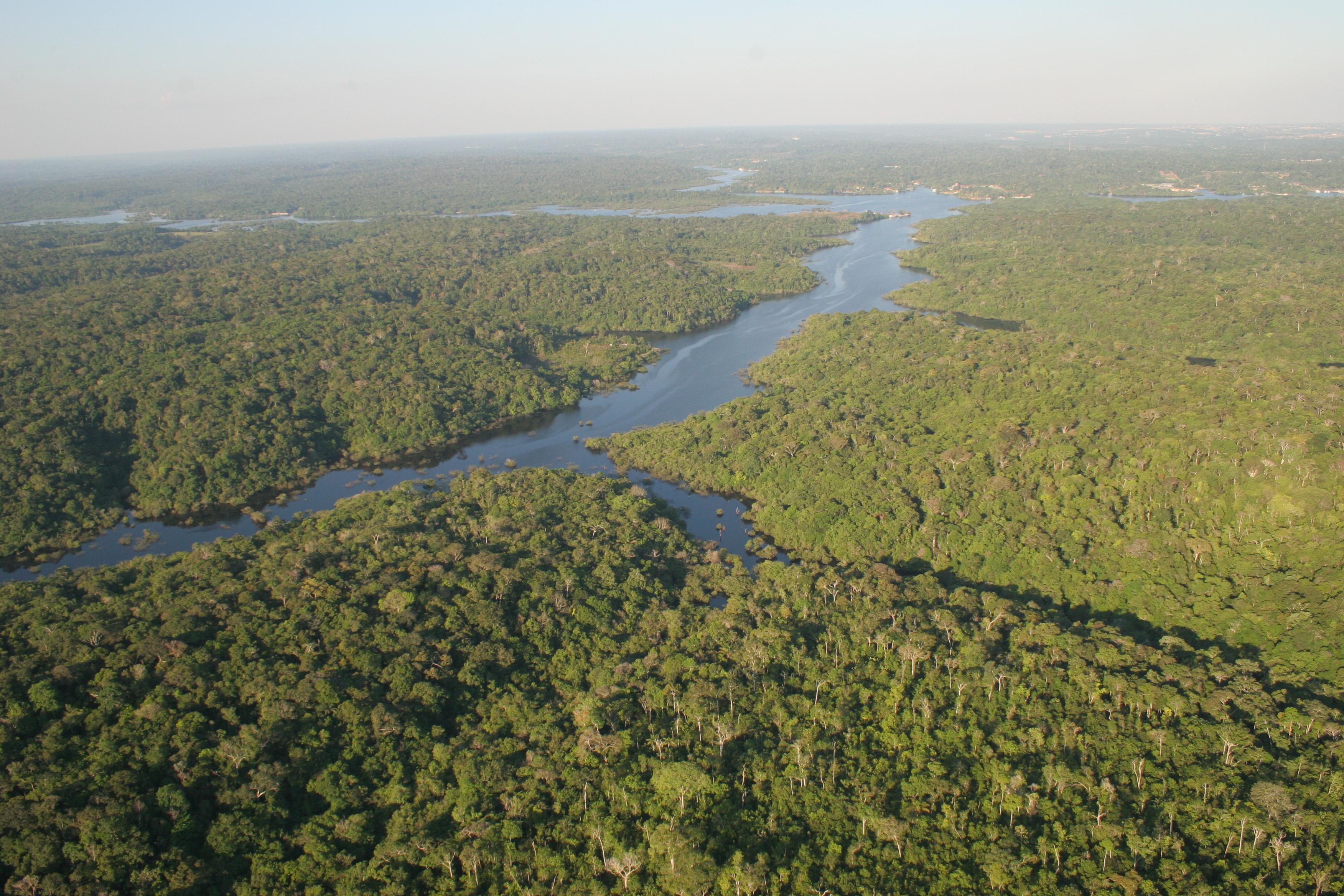 Descubren un ''cementerio'' ind&iacute;gena con 500 a&ntilde;os en el coraz&oacute;n de la Amazon&iacute;a brasile&ntild