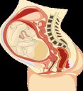 Fallo sobre el aborto no punible que no respeta el criterio de la Corte