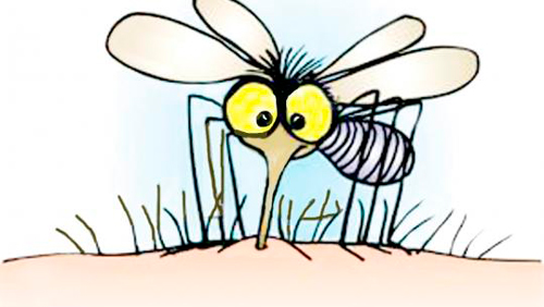 C&oacute;mo evitar las picaduras de mosquitos