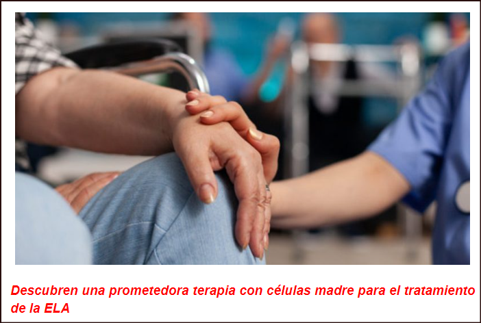  Nuevo tratamiento contra la ELA con c&eacute;lulas madre