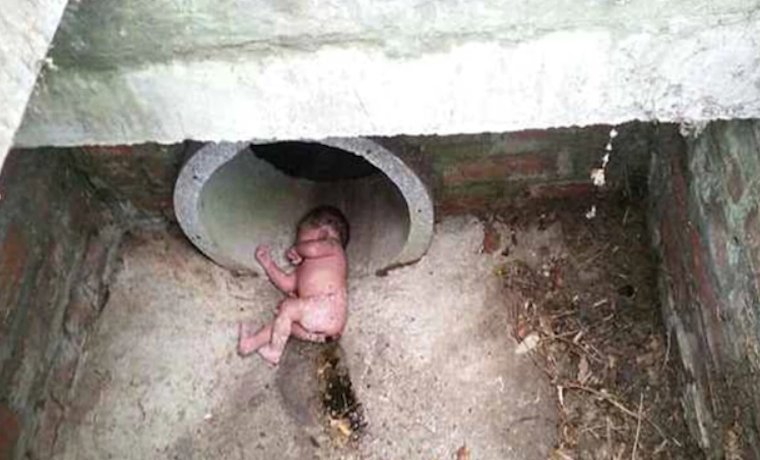 Beb&eacute; reci&eacute;n nacida sobrevive tras ser abandonada en cloaca sobre colonia de hormigas rojas