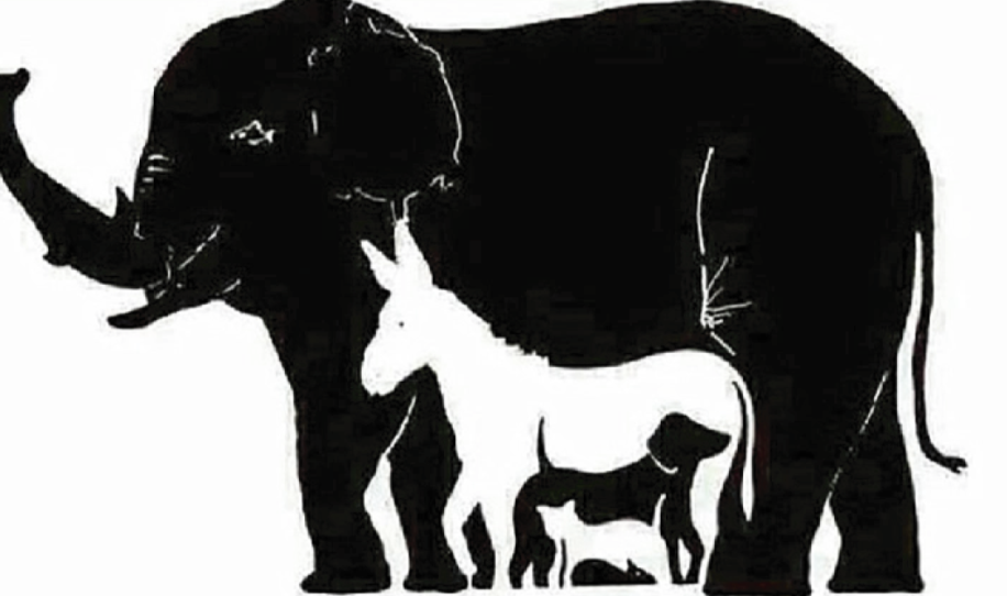 Unos pocos han podido identificar los 13 animales de la imagen &iquest;cu&aacute;ntos ves tu?