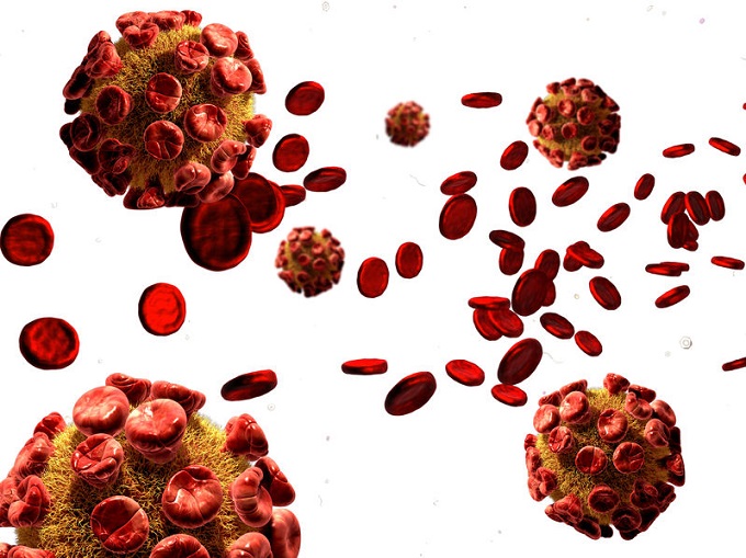 Toxoplasmosis: &iquest;Sabes c&oacute;mo prevenirla?