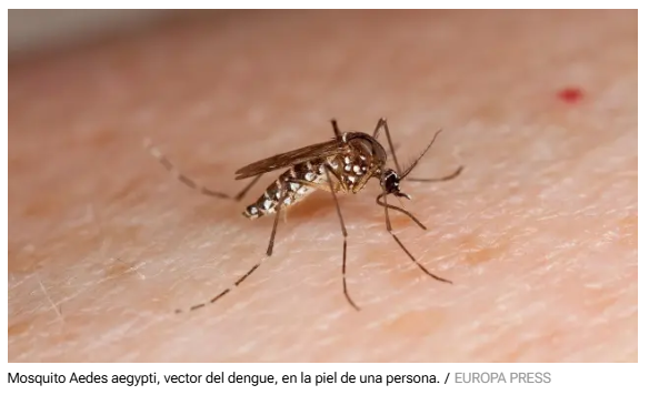  La epidemia de Dengue en Am&eacute;rica, a examen