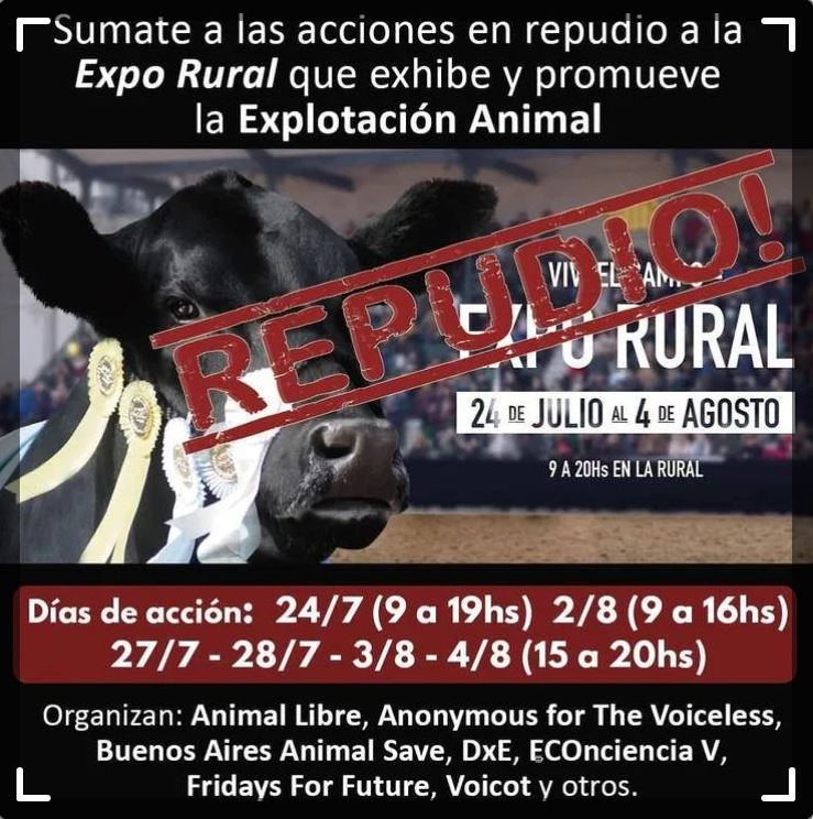 VIDEO: Gauchos opinaron sobre el episodio ocurrido en la Rural de Bs As