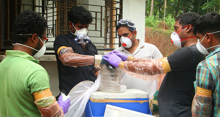 What is the deadly Nipah virus?