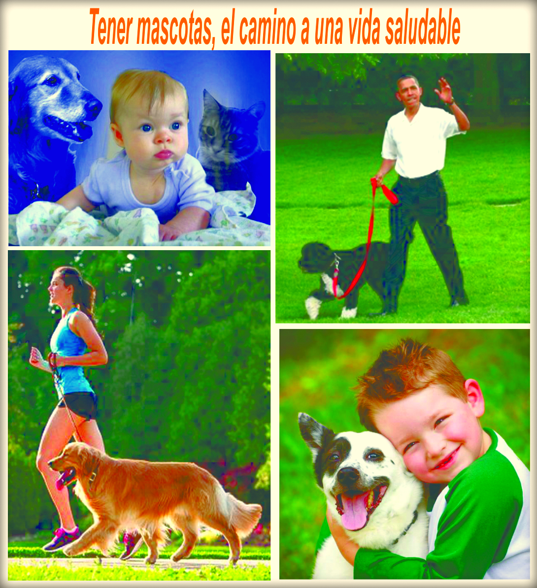 Tener mascotas, el camino a una vida m&aacute;s saludable