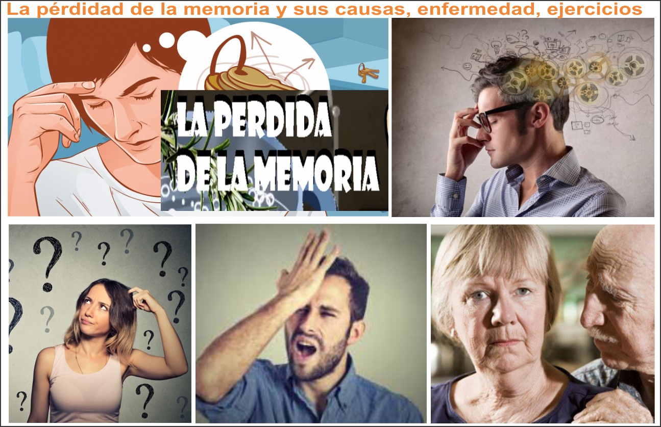  &iexcl;Se me olvida todo!,  Causas, consecuencias, alimentaci&oacute;n, ejercicios.