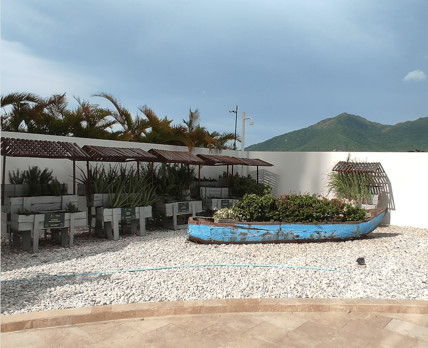 Directo de la huerta de Mercure Santa Marta a tu paladar