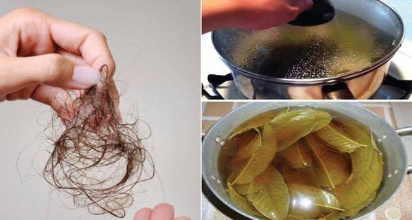 Remedio casero para detener la p&eacute;rdida del cabello 