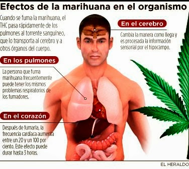 La Marihuana puede causar mas da&ntilde;o que bondades