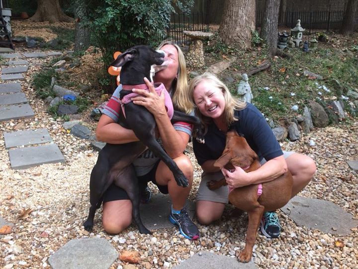 Remember this dogs? What just happened to them will make you smile! 