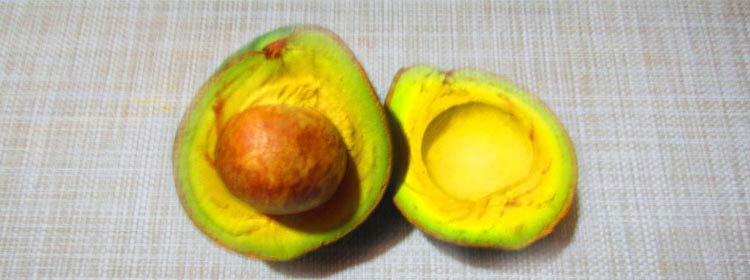 C&oacute;mo eliminar las canas de forma natural