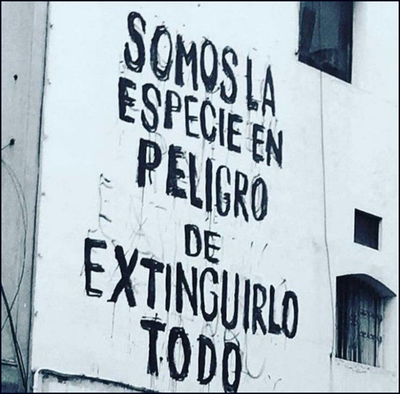 AUTODESTRUCCI&Oacute;N PROGRAMADA