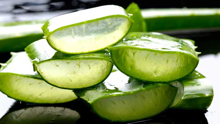 5 razones por la que deber&iacute;as incluir en tu dieta la s&aacute;bila o aloe vera, todos los d&iacute;as