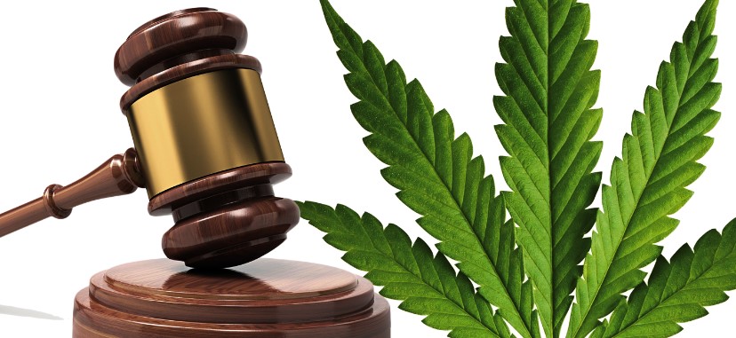 &iquest;Son legales los negocios de Cannabis en Espa&ntilde;a?
